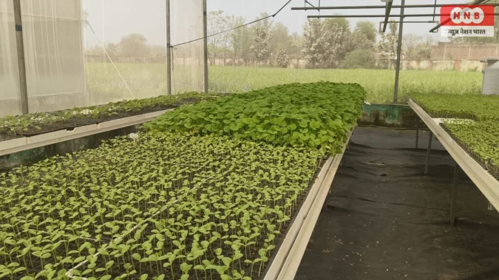 Dariyapur Krishi Sansadhan Kendra