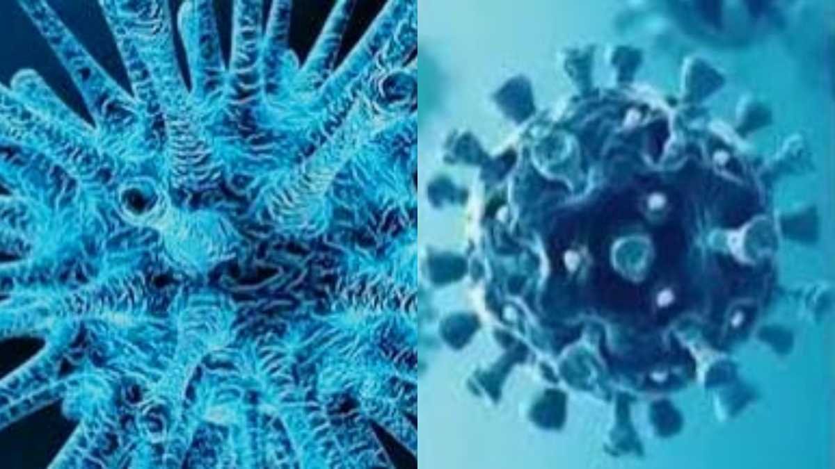 Disease X WHO Warning