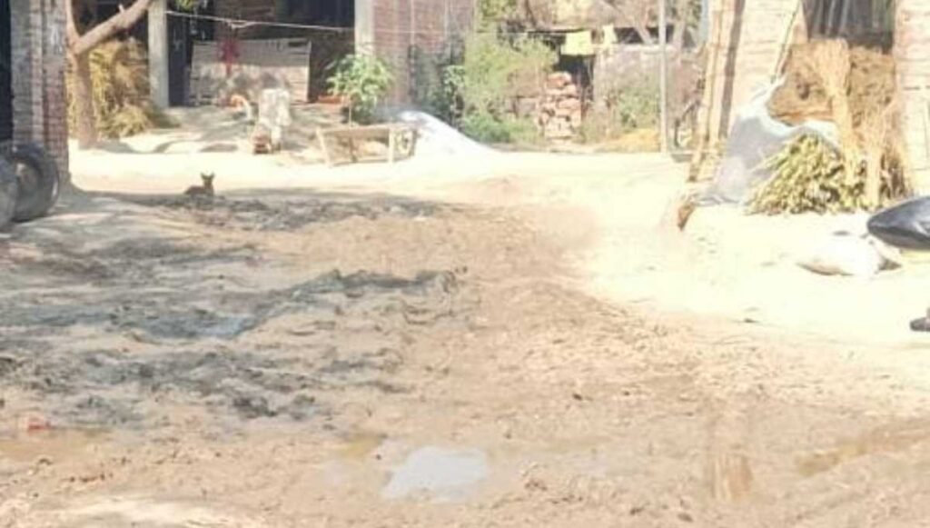 रायबरेली