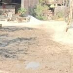 रायबरेली