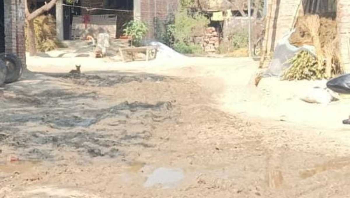 रायबरेली