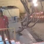 Shri Abhay Data Temple