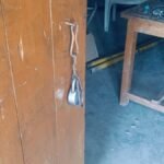 PM Shri School Kubana