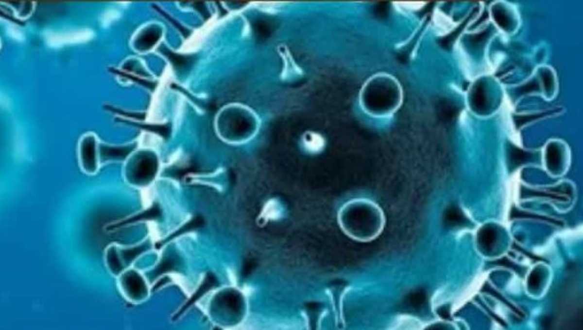 वैरिएंट