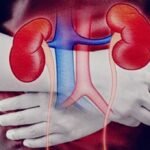 किडनी