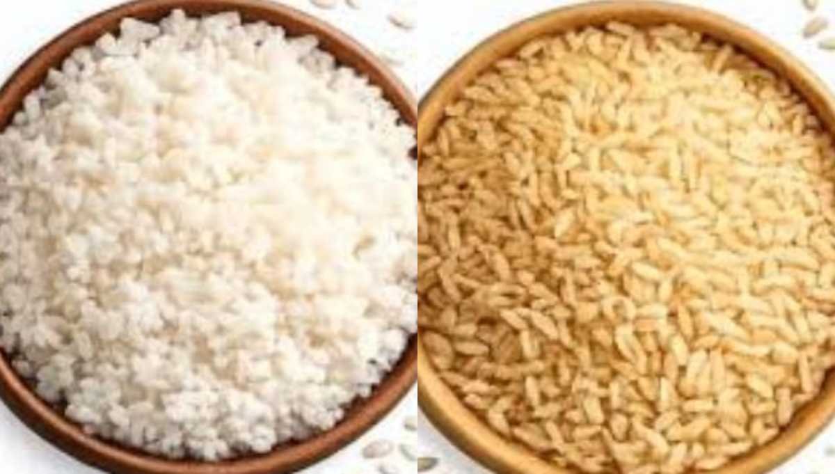 ज्यादा प्रोटीन, कम ग्लाइसेमिक असर और भरपूर पोषण—नए “डिज़ाइनर राइस” से बदल सकती है खाने की आदत 1 प्रोटीन