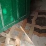 उत्तर प्रदेश