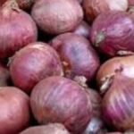 प्याज