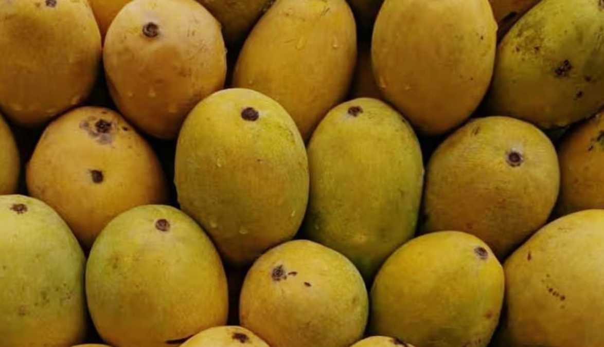 आम