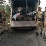 Bokaro Illegal Coal Seized