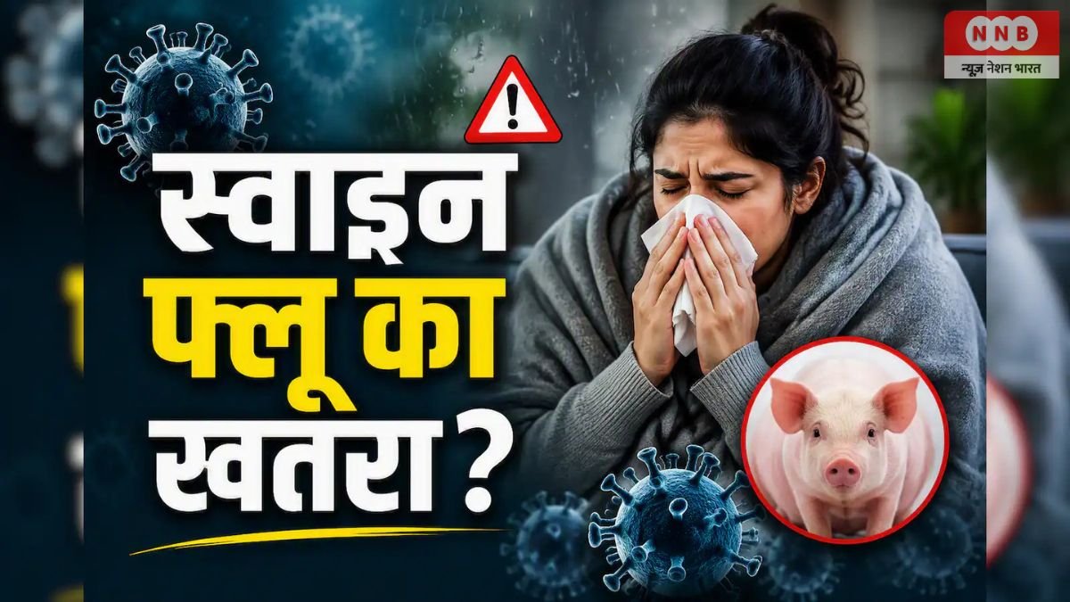 Swine Flu Cases: H1N1 का बढ़ रहा खतरा! जानिए स्वाइन फ्लू से बचने के आसान उपाय 1 Swine Flu Cases