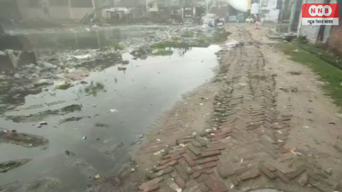 Raebareli News: छोटा घोसियाना में विकास के दावों के बदहाली का दंश झेल रहा वार्ड नंबर बारिश में सड़कें बनीं जानलेवा गड्ढों का जाल 1 Raebareli