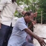 Raebareli