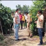 Raebareli