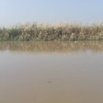 Raebareli