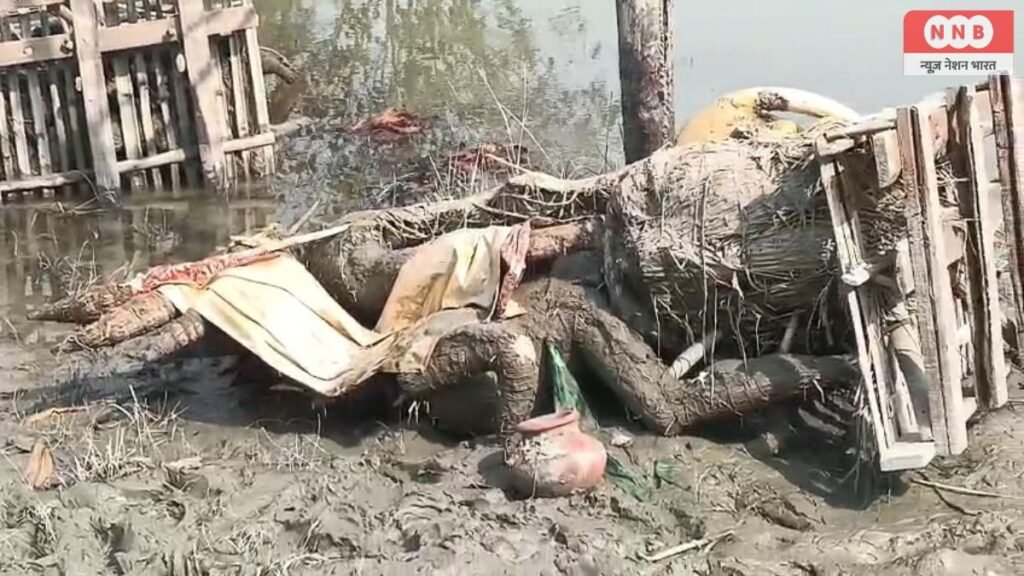 Raebareli: साईं नदी का जलस्तर घटा तो बाहर दिखने लगीं विसर्जित मूर्तियां, लोगों ने उठाए सवाल 2 News Nation Bharat 2 35