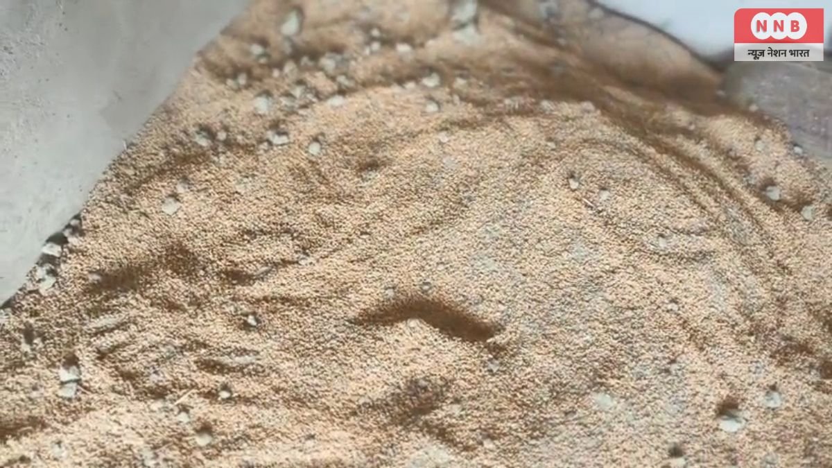 Raebareli: FCI गोदाम के राशन में कंकड़-मिट्टी मिलने का आरोप, कोटेदारों ने उठाए सवाल; वीडियो वायरल 1 Raebareli